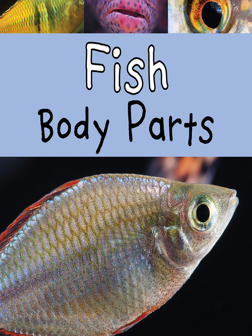 Title details for Fish Body Parts by Clare Lewis - Wait list